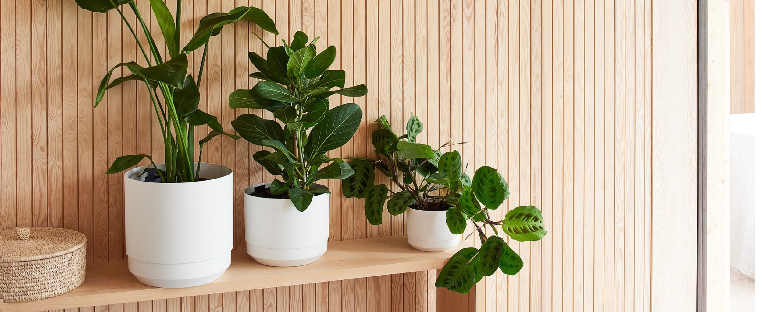 Krukor med självbevattning